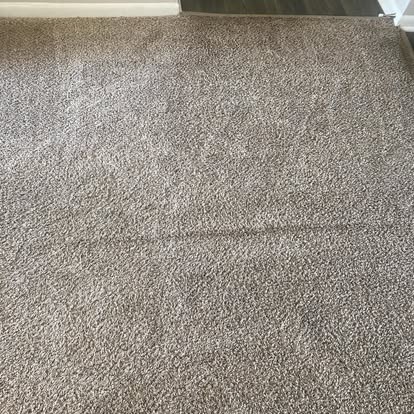 Carpet after cleaning