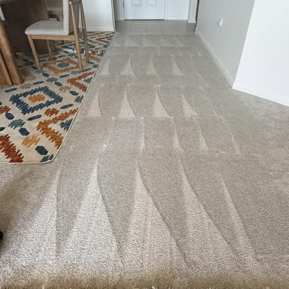 Crisp vacuum lines on freshly cleaned carpet